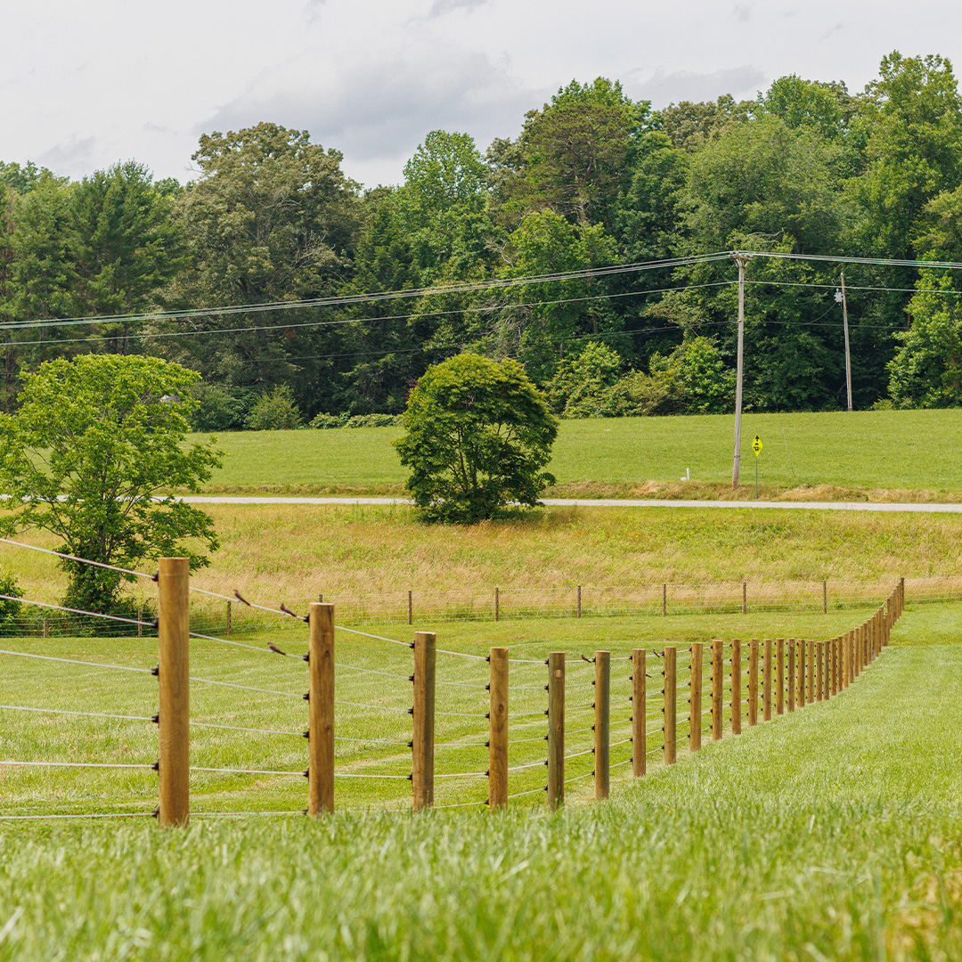 Cameo Fencing polymer line system installed on a horse property with green pastures