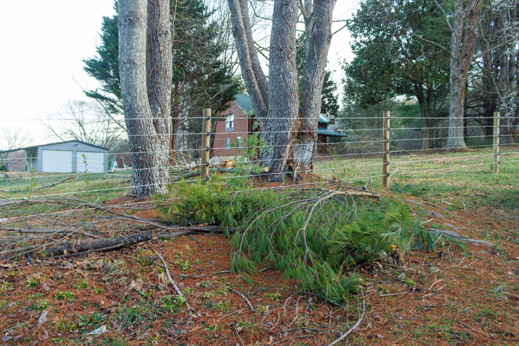 Cameo Fence still intact after severe storm with fallen tree limbs